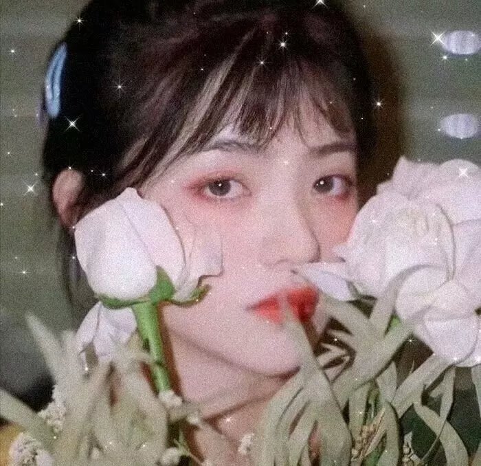 侠女游龙国语