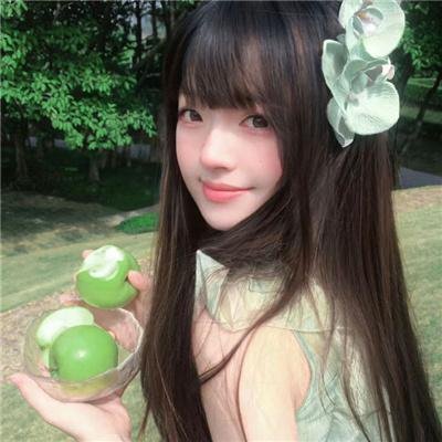 苍之骑士团